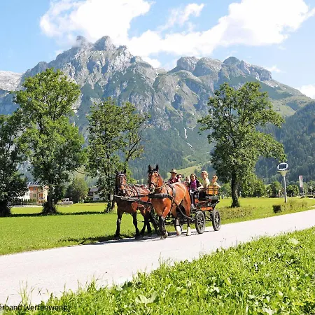 Holiday Schnee Eule-3 By Interhome * Pfarrwerfen